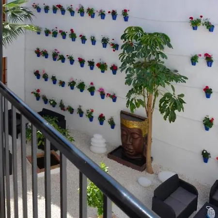 Casa Patio Palmeras Con Piscina Cordoba